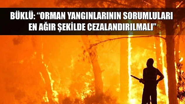 Büklü: 'Orman Yangınlarının Sorumluları En Ağır Şekilde Cezalandırılmalı'