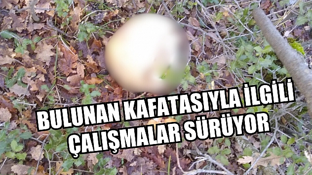 Bulunan kafatasıyla ilgili çalışmalar sürüyor