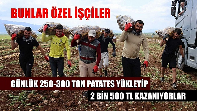 Bunlar özel işçiler: Günlük 250-300 ton patates yükleyip 2 bin 500 TL kazanıyorlar