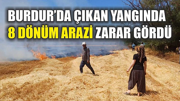 Burdur'da çıkan yangında 8 dönüm arazi zarar gördü