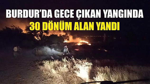 Burdur'da gece çıkan yangında 30 dönüm alan yandı