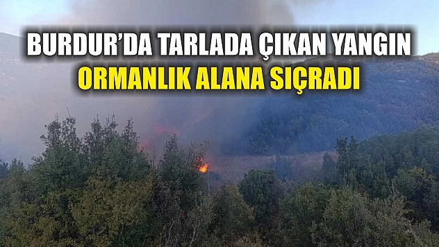 Burdur'da tarlada çıkan yangın ormanlık alana sıçradı