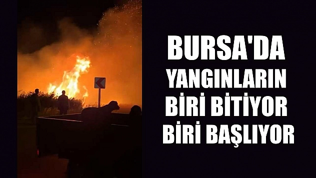 Bursa'da yangınların biri bitiyor biri başlıyor