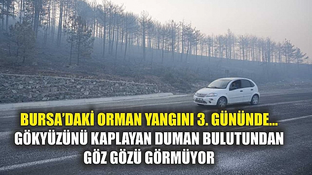 Bursa'daki orman yangını 3. gününde... Gökyüzünü kaplayan duman bulutundan göz gözü görmüyor