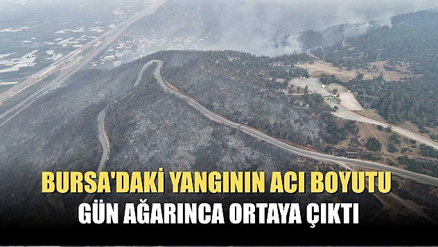 Bursa'daki yangının acı boyutu gün ağarınca ortaya çıktı
