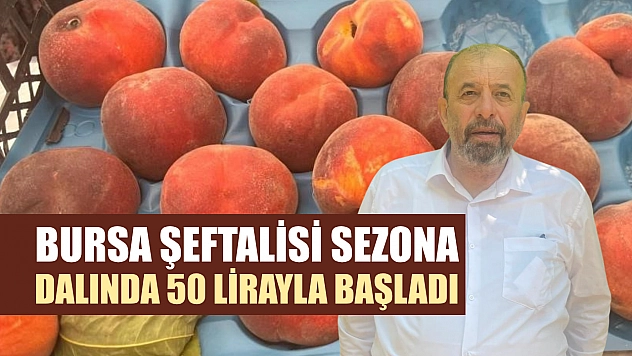 Bursa şeftalisi sezona dalında 50 lirayla başladı