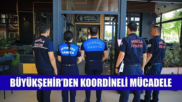 Büyükşehir'den Koordineli Mücadele