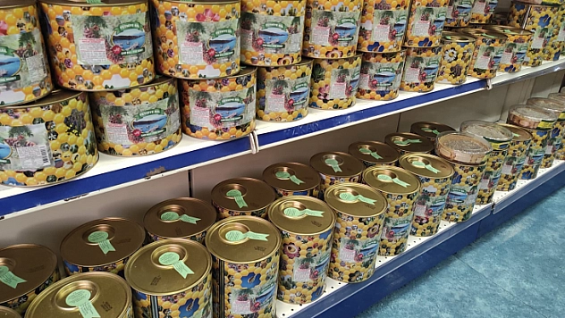 Çam balında kayıp yıl