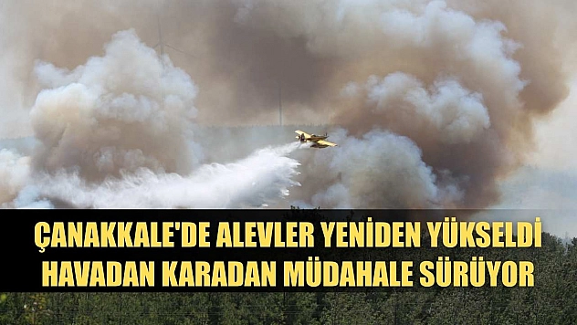 Çanakkale'de alevler yeniden yükseldi, havadan karadan müdahale sürüyor
