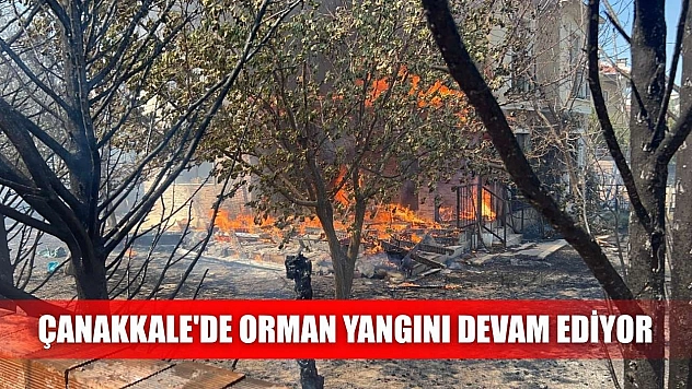 Çanakkale'de orman yangını devam ediyor