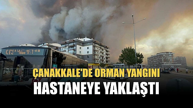 Çanakkale'de orman yangını hastaneye yaklaştı