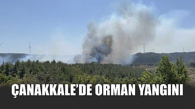 Çanakkale'de orman yangını