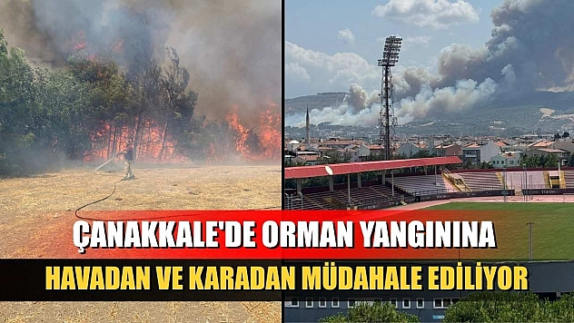 Çanakkale'de orman yangınına havadan ve karadan müdahale ediliyor