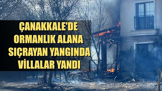 Çanakkale'de ormanlık alana sıçrayan yangında villalar yandı