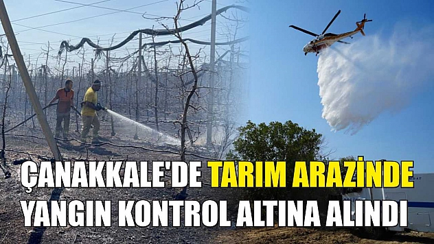 Çanakkale'de tarım arazinde yangın kontrol altına alındı