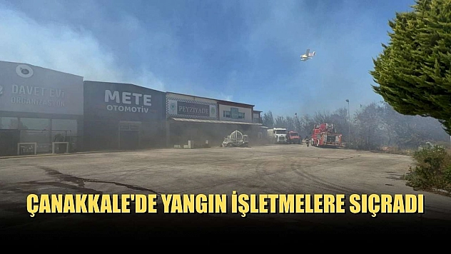 Çanakkale'de yangın işletmelere sıçradı