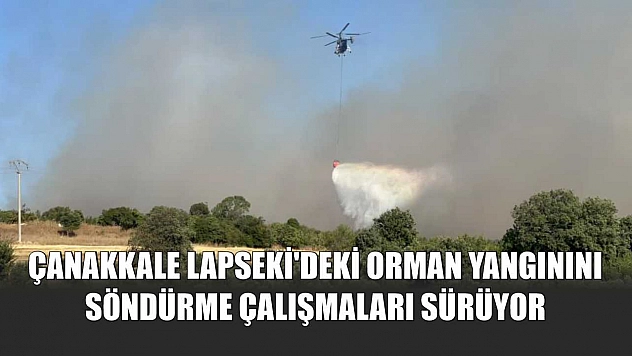 Çanakkale Lapseki'deki orman yangınını söndürme çalışmaları sürüyor