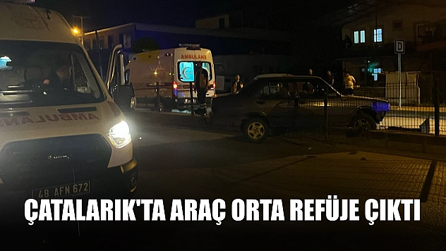Çatalarık'ta araç orta refüje çıktı