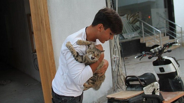 Çatıda kalan kediyi itfaiye kurtardı