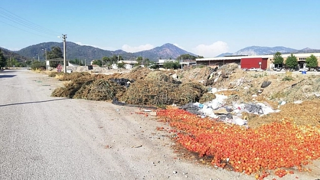 CHP'li Evren Tezcan, bu görüntüler Ortaca'mıza yakışmıyor