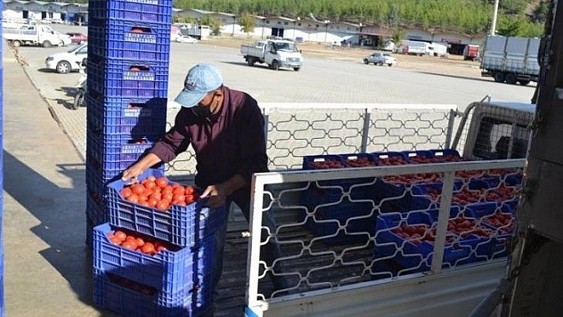 Çiftçiler kısıtlama sürecinde üretmeye devam etti