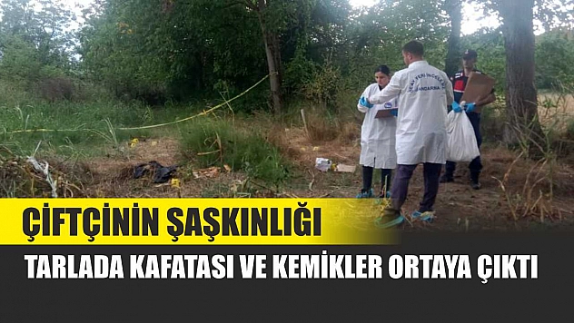 Çiftçinin Şaşkınlığı: Tarlada Kafatası ve Kemikler Ortaya Çıktı