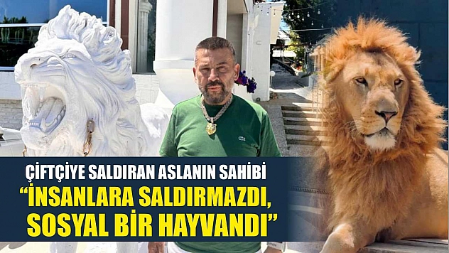 Çiftçiye saldıran aslanın sahibi: 'İnsanlara saldırmazdı, sosyal bir hayvandı'