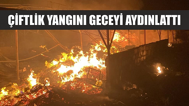 Çiftlik yangını geceyi aydınlattı