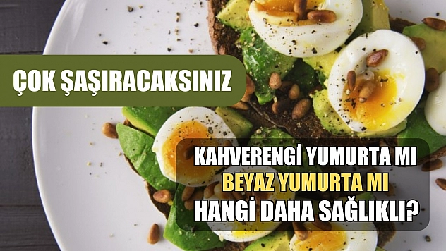 Çok şaşıracaksınız, kahverengi yumurta mı beyaz yumurta mı hangi daha sağlıklı?
