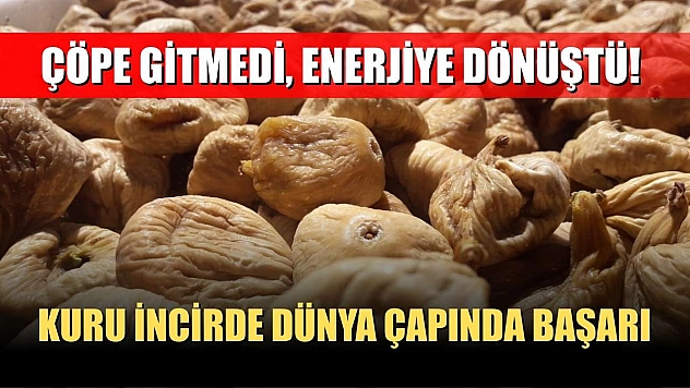 Çöpe gitmedi, enerjiye dönüştü! Kuru İncirde dünya çapında başarı