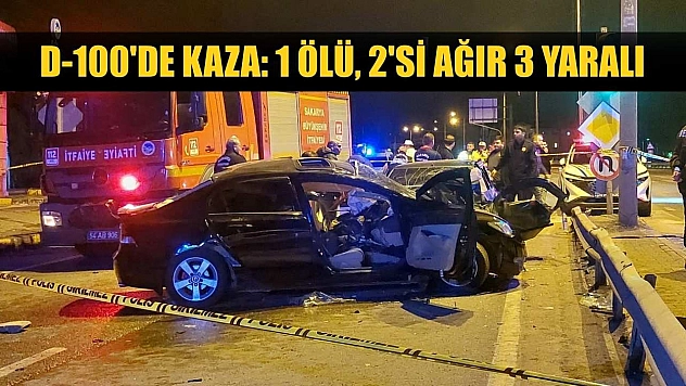 D-100'de kaza: 1 ölü, 2'si ağır 3 yaralı