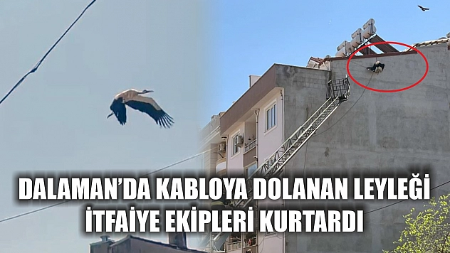 Dalaman'da kabloya dolanan Leyleği itfaiye ekipleri kurtardı