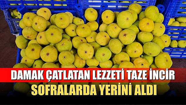 Damak çatlatan lezzeti taze incir, sofralarda yerini aldı