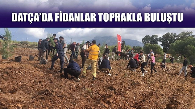 Datça'da fidanlar toprakla buluştu