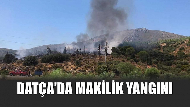 Datça'da makilik yangını