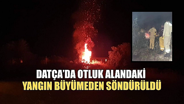 Datça'da otluk alandaki yangın büyümeden söndürüldü