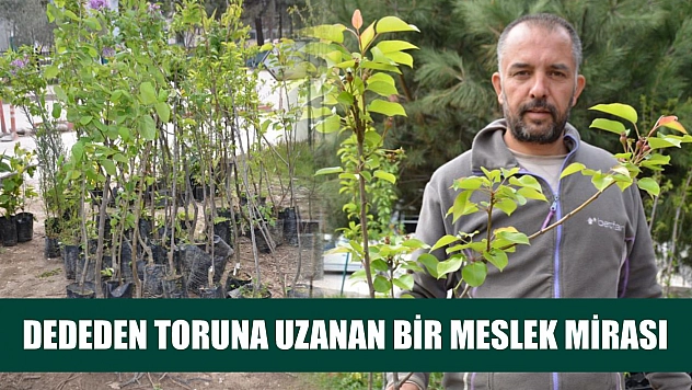 Dededen toruna uzanan bir meslek mirası