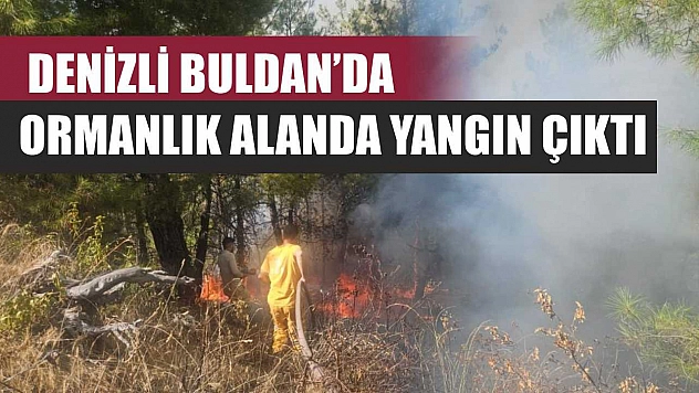 Denizli Buldan'da ormanlık alanda yangın çıktı