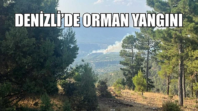 Denizli'de orman yangını