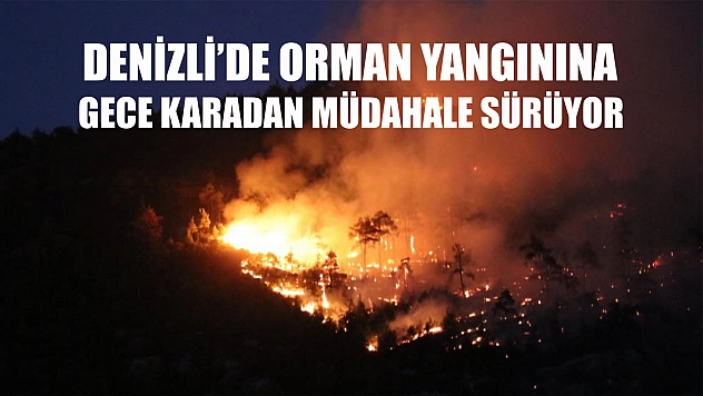 Denizli'de orman yangınına gece karadan müdahale sürüyor