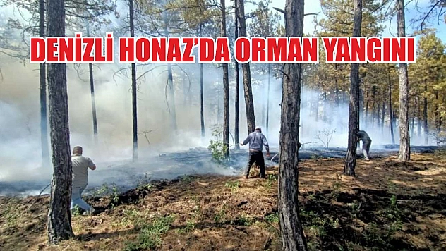 Denizli Honaz'da orman yangını