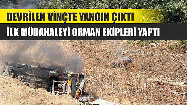 Devrilen vinçte yangın çıktı, ilk müdahaleyi orman ekipleri yaptı