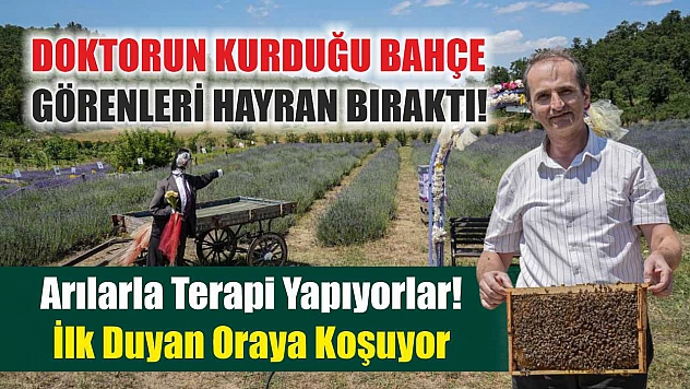 Doktorun kurduğu bahçe görenleri hayran bıraktı!