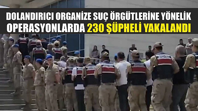 Dolandırıcı organize suç örgütlerine yönelik operasyonlarda 230 şüpheli yakalandı