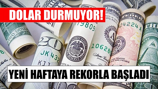 Dolar durmuyor! Yeni haftaya rekorla başladı