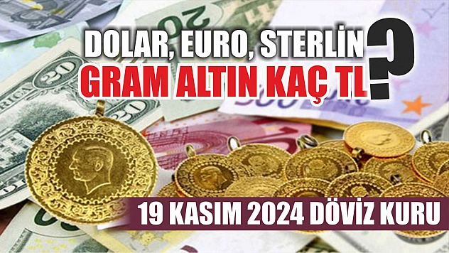 Dolar, euro, sterlin, gram altın kaç TL? 19 Kasım 2024 Döviz Kuru