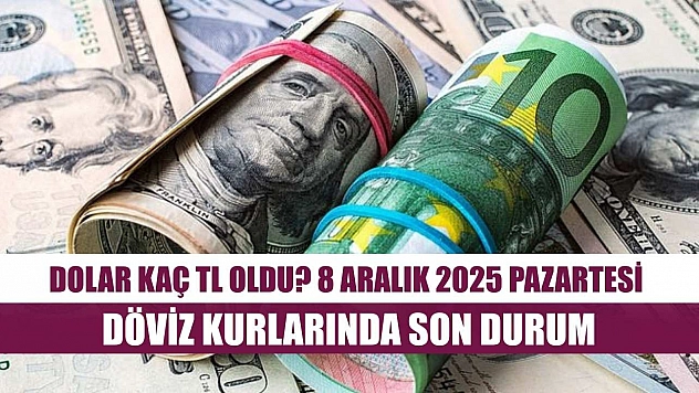 Dolar Kaç TL Oldu? 8 Aralık 2025 Pazartesi Döviz Kurlarında Son Durum