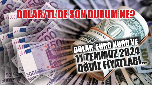 Dolar/TL'de son durum ne? Dolar, Euro kuru ve 11 Temmuz 2024 döviz fiyatları...