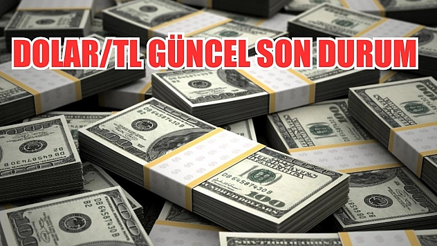 Dolar/TL güncel son durum