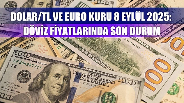 Dolar/TL ve Euro Kuru 8 Eylül 2025: Döviz Fiyatlarında Son Durum